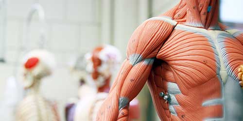 Damsted-teknikken i helhedsHUSET