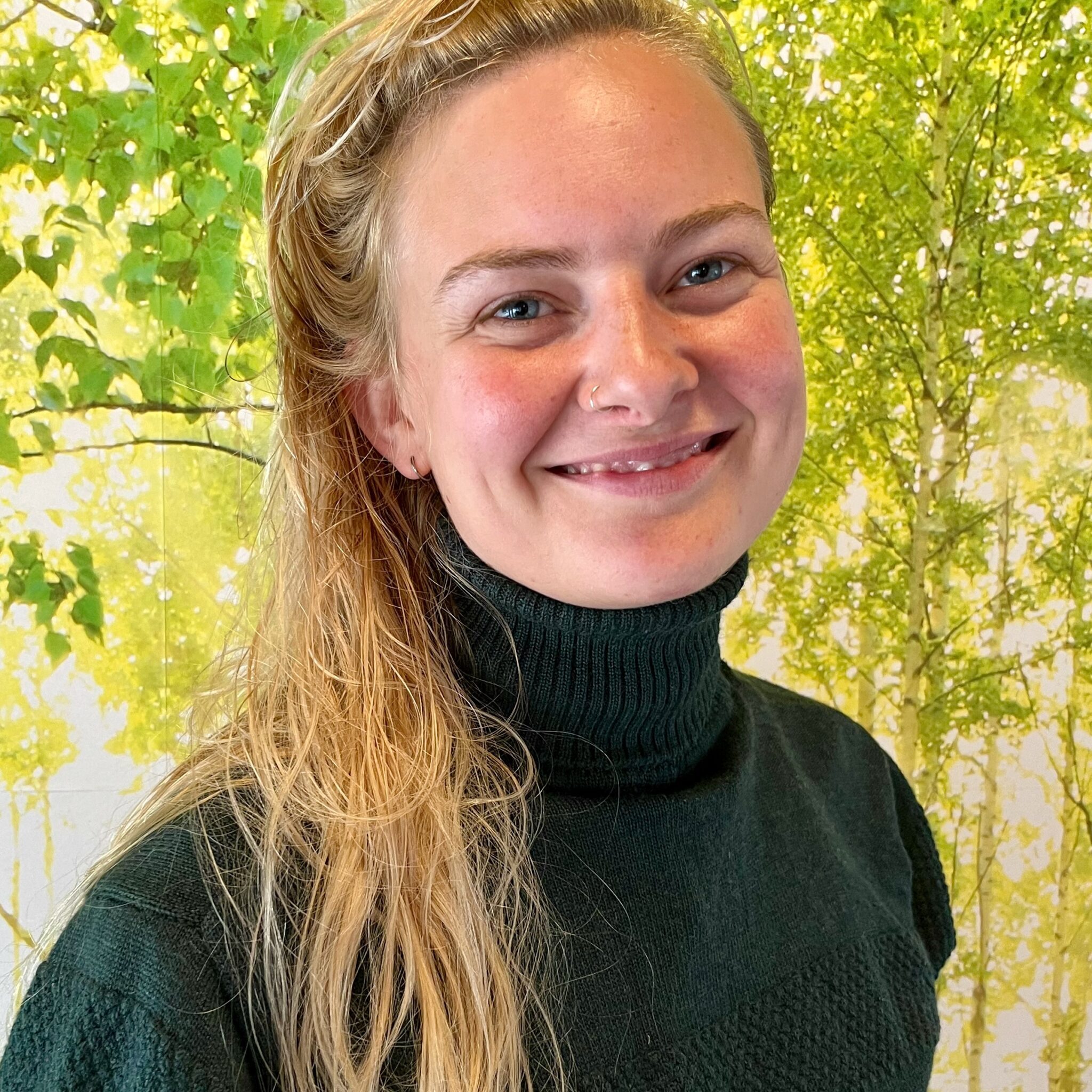 Sassi i helhedsHUSET