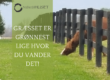 er græsset grønnere hos naboen?