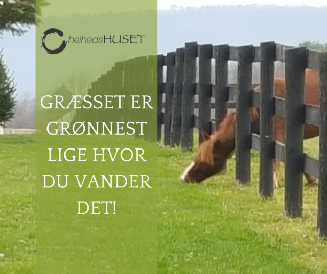 er græsset grønnere hos naboen?