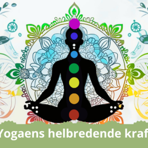oplæg i helhedsHUSET
