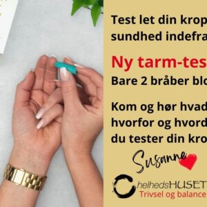 oplæg om at teste