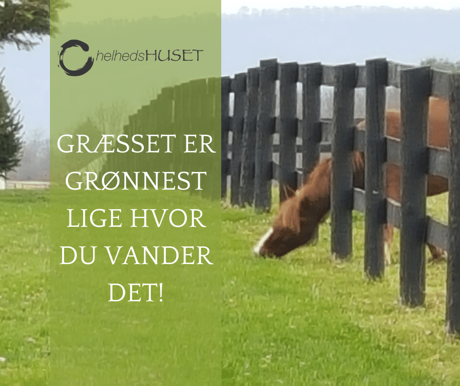 græsset er grønnere